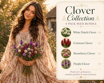 Clover Collection, 4 Pack Clover Seed Bundle , White, Crimson, Strawberry & Purple.