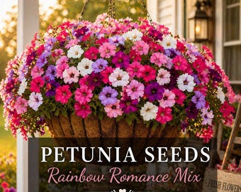 Rainbow Romance Petunia Seeds, Seed Mix, Multi Color Blooms, Pinks, Reds, Yellows, Whites & More.