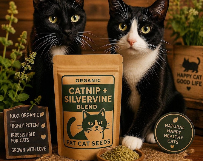 Organic Catnip Silvervine Blend, Natural Cat Treat, Fresh WA-Grown Herbs, Strong Cat Toy Refill