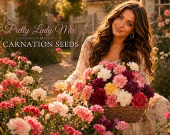 Carnation Seeds: Pretty Lady Mix, Fragrant Cottage Garden Cut Flowers Seed