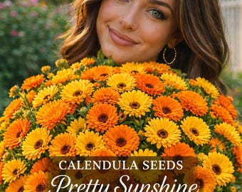 Calendula Seeds: Yellow & Orange Blooms, Pretty Sunshine Seed