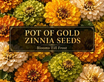 Pot of GOLD Zinnia Seeds Mix | Blooms Till Frost | Cut Flower Garden Favorite