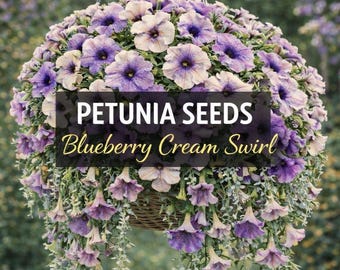 Blueberry Cream Swirl Petunia Seeds | Beautiful Color Petunias for Hanging Baskets | Soft Purple & Cream Blooms