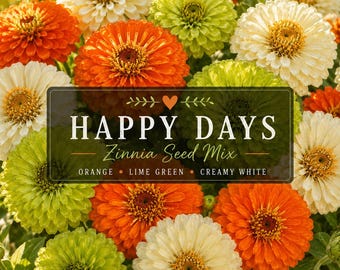 Happy Days Zinnia Seed Mix | Orange, Lime Green, Creamy White Flower Seeds.