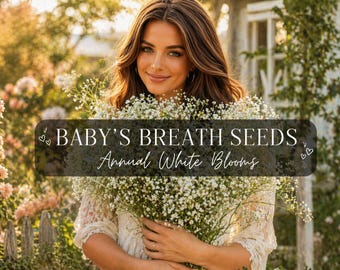 Annual Baby's Breath Seeds: Blooms Early & Late Summer.