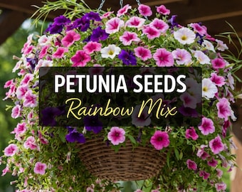 Mixed Petunia Seeds, Rainbow Blooms, Summer Garden flowers