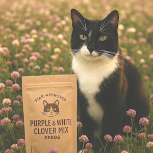 Purple & White Clover Seeds Mix | Lush Low-Growing Ground Cover | Pollinator Friendly | Perennial Lawn Alternative | USA Seller
