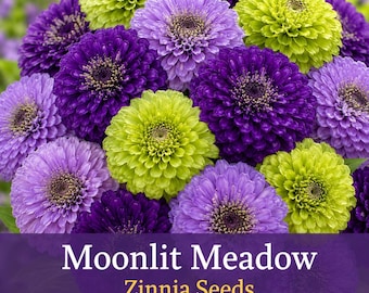 Moonlight Meadow Zinnia Seeds – Purple Lavender Green Zinnia Mix – Cut Flower Garden Seeds – Simple and Fast to Grow