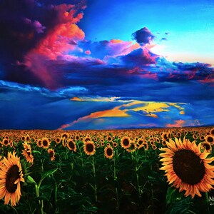 Golden Fields at Dusk Painting Print