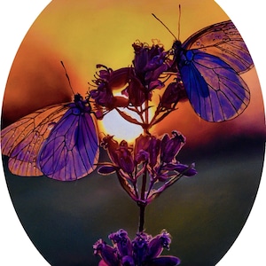 Glow Painting Print