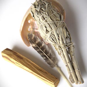 White Sage Smudge Kit: Beginner Cleansing Ritual with Abalone Shell