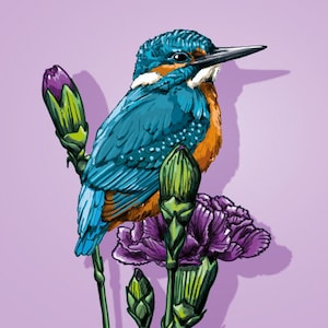 Postkarte mit blauem Eisvogel "Jonto" von illi, über Kyute
