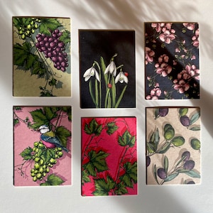Könnte beinhalten: Satz von sechs Grußkarten mit verschiedenen floralen und naturinspirierten Designs. Die Karten sind auf weißem Karton gedruckt und zeigen eine Vielzahl von Farben, darunter Grün, Pink, Blau und Schwarz.