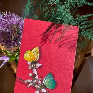 Postkarte mit bunten Schmetterlingen "PANAMBI" von illi