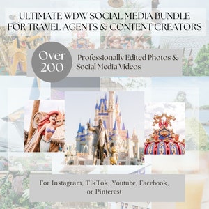 WDW Travel Agent Social Media Stock Photos and Videos, WDW IG Reels or TikTok