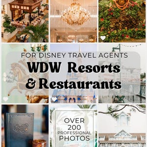 May include: A collage of nine images featuring Disney resort architecture, a crystal chandelier, a tiki statue, a carousel horse, Cinderella Castle, a park bench, a dark blue menu, a swimming pool, and a light blue building with the text FOR DISNEY TRAVEL AGENTS WDW Resorts & Restaurants OVER 200 PROFESSIONAL PHOTOS.