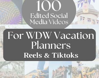 WDW Travel Agent Social Media Videos, Reels & Tiktoks, Vertical Videos for Travel Planners, WDW Travel Agent Templates, Social Media Manager