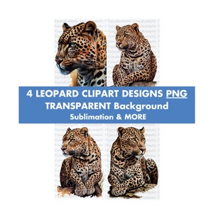 Leopard Clipart PNG, Sublimation Design, TRANSPARENT Background PNG, 4 Ultra Quality Files