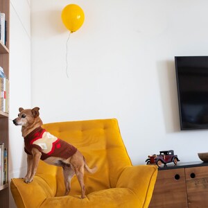 Puede incluir: Un perro peque&ntilde;o de color marr&oacute;n que lleva un su&eacute;ter de punto con estampado marr&oacute;n, rojo y blanco est&aacute; de pie sobre un sill&oacute;n tapizado de color amarillo mostaza. Un globo amarillo flota sobre el sill&oacute;n y un coche de juguete vintage.