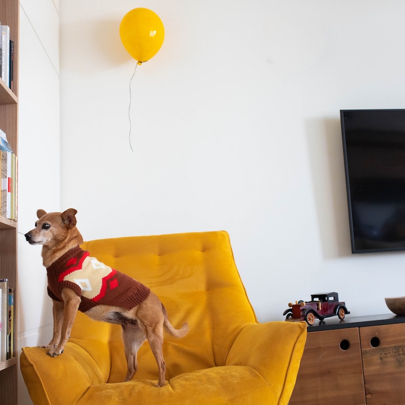 Puede incluir: Un perro peque&ntilde;o de color marr&oacute;n que lleva un su&eacute;ter de punto con estampado marr&oacute;n, rojo y blanco est&aacute; de pie sobre un sill&oacute;n tapizado de color amarillo mostaza. Un globo amarillo flota sobre el sill&oacute;n y un coche de juguete vintage.