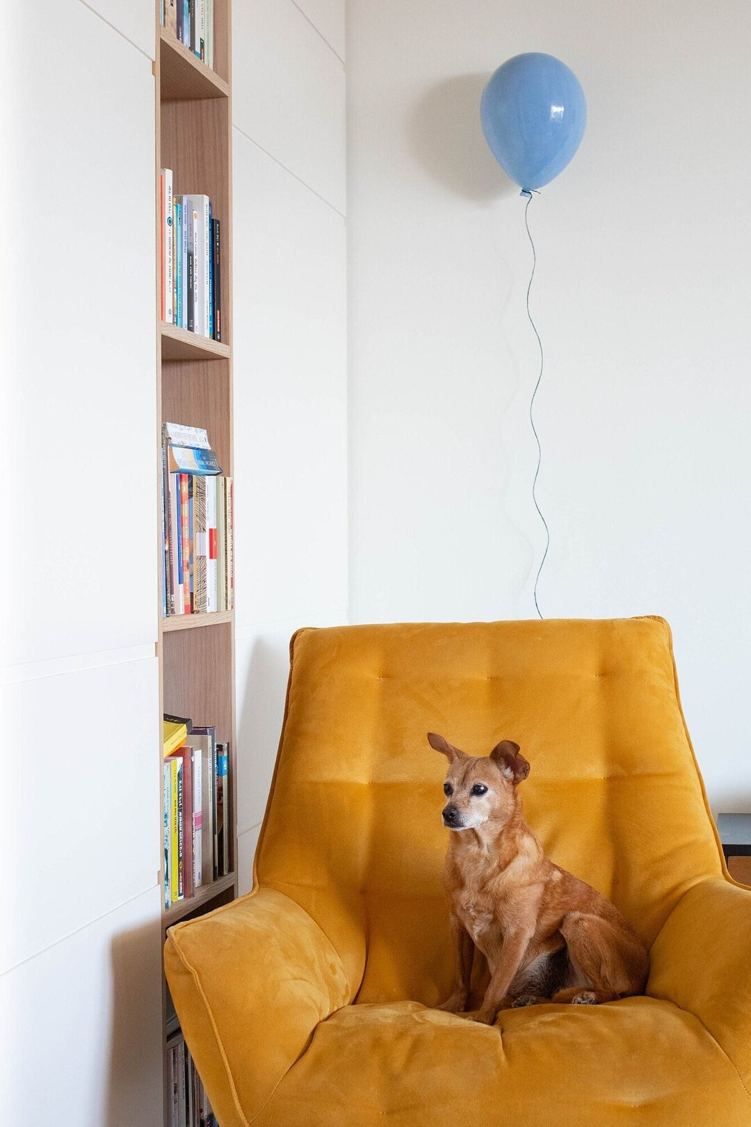 Sky Blue Ceramic Balloon Wall Art, Wall Sculpture, Interior Design