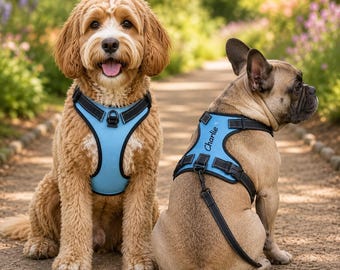 Personalized Dog Harness with Name No-Pull Adjustable Reflective Pet Vest in Multiple Colors, Custom Dog Harness for Walking, Hiking, Travel