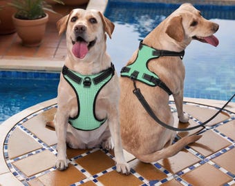 No Pull Adjustable Dog Harness – Breathable Mesh Dog Vest with Reflective Trim, Quick Release Buckles, Multiple Colors, S–XL