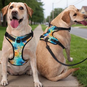 May include: Two yellow Labrador Retrievers wearing matching dog harnesses featuring a vibrant, multi-colored floral pattern with black trim. The harnesses include adjustable black straps, a metal D-ring for leash attachment, and a black leash.