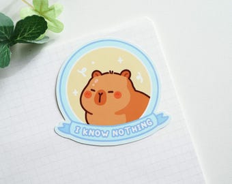 Sticker I Know Nothing, sticker schattige capibara, grappige sticker, sticker waterfles, waterdicht vinyl, sticker werk, laptopsticker