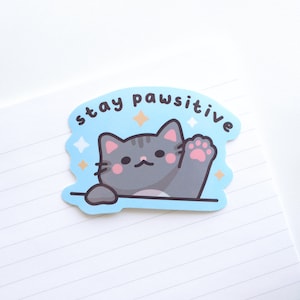 Stay Pawsitive Aufkleber, süße Katzenaufkleber, bleiben Sie positiv, motivierend, Wasserflaschenaufkleber, Laptop, wasserdichter Vinylaufkleber, Katzengeschenke