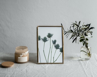Botanical Wall Art | Plant | Home Decor | Wall Art | Flower