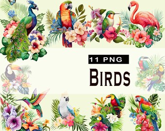 11 imágenes prediseñadas de aves exóticas en acuarela: aves tropicales con flores y hojas en formato PNG, descarga instantánea para uso comercial.