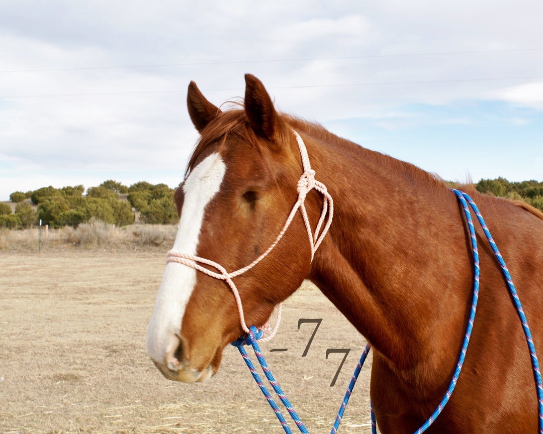 Handmade Twisted Lariat Rope Horse Training/colt Breaking/loping Halter Hackamore Climbing Rope
