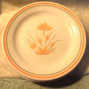 7 Corelle Peach floral 7" plates