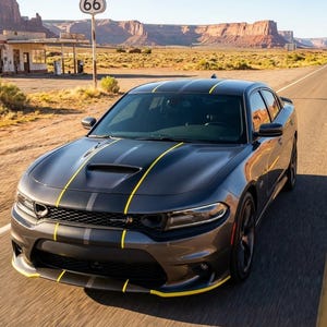 10" Twin 2 color Rally Stripes FIT ALL Model 2005- UP Dodge Charger Gt R/T Scat Pack Hellcat Demon T/A