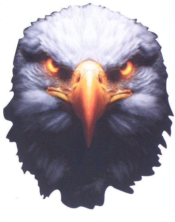 ◡̈*✧Eagle Amazon.com - JS Artworks Eagle Head Vinyl Decal Sticker (Black)