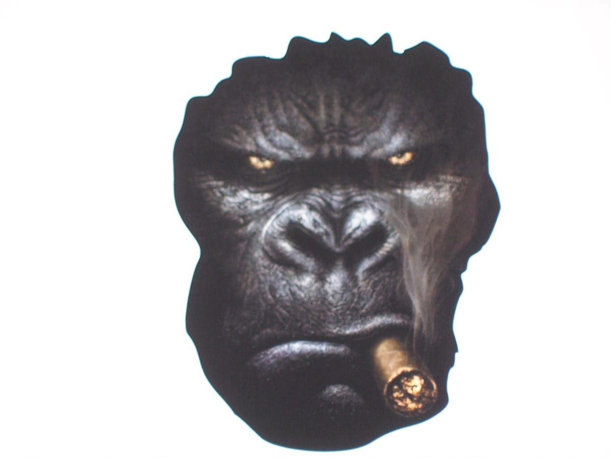 Gorilla tag Sticker by Ueti