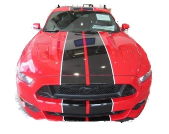 10" Twin 2 color Rally Stripes FIT ALL Model 2015 - UP Mustang including Gt Lx GT500 GT350 EcoBosst