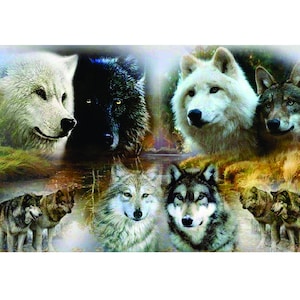 Wolf Pack Trailer or RV Graphic Mural Decal / Sticker Fit Wall Camper Motorhome