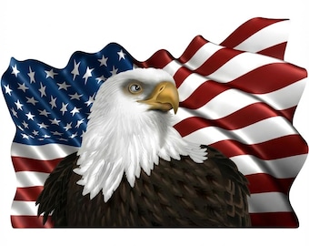 Amerikaanse vlag met HELDERE adelaarskop grafische muurschildering stickers/stickers passen aan de muur camper RV aanhanger RV camper