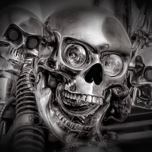Biker Headlight Skull Trailer or RV Graphic Mural Decal / Sticker Fit Wall Camper Motorhome