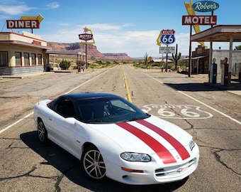 Bandes de rallye décrites de 11 po. CONVIENT à tous les modèles Chevrolet Camaro 1998-2002