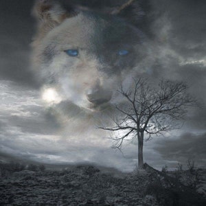 Gray Wolf in Clouds Trailer or RV Graphic Mural Decal / Sticker Fit Wall Camper Motorhome