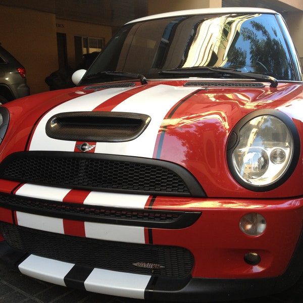 10" Twin 2 color Rally Stripes FIT ALL Model 2002- UP Mini Copper
