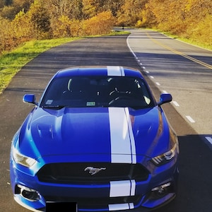 Könnte beinhalten: Ein blauer Ford Mustang mit einem weißen Rennstreifen über die Motorhaube. Das Auto steht auf einer asphaltierten Straße mit Bäumen im Hintergrund.