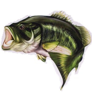 BASS Fish-sticker / sticker Geweldig voor auto, vrachtwagen of SUV-ruit