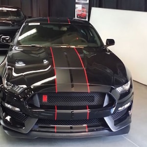 6&quot; Twin 2-kleuren Rally Stripe-graphicsset PAST Alle modellen 2015-2025 Mustang inclusief GT V6 Ecoboost GT350 en GT500