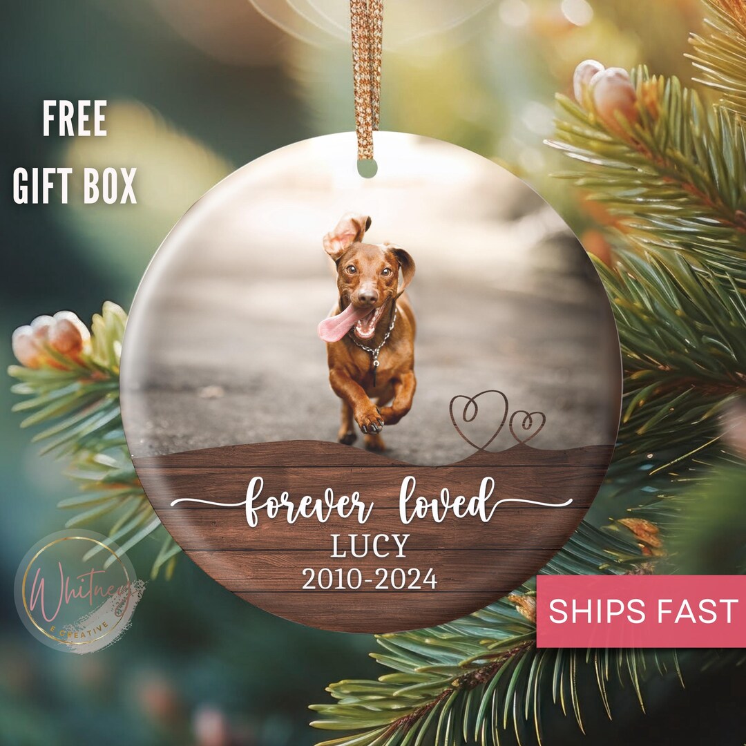 Personalized Dog Memorial Ornament, Custom Memorial Gift for Loss of ...