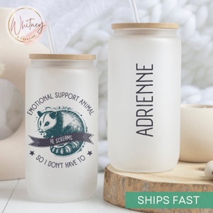 Personalized Emotional Support Tumbler, Funny Self Care Possum Frosted Glass Cup, Sarcastic Mental Health Cup Gift, Funny Best Friend Gift
