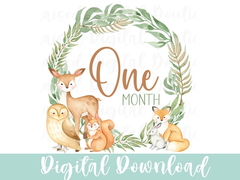 Woodland Creatures One Month Baby PNG Baby Monthly Milestone PNG, One ...